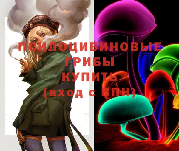 прущие грибы Киренск
