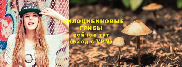 прущие грибы Киренск