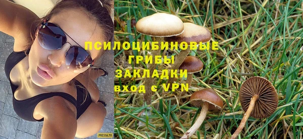 прущие грибы Киренск