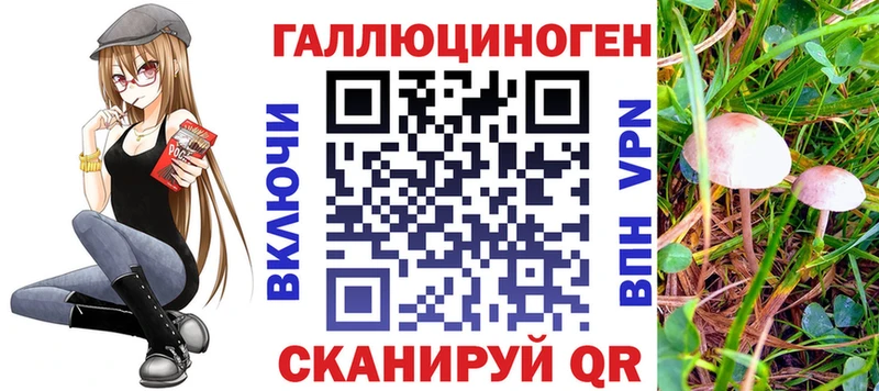 Купить где  Бузулук  Галлюциногенные грибы Psilocybe 